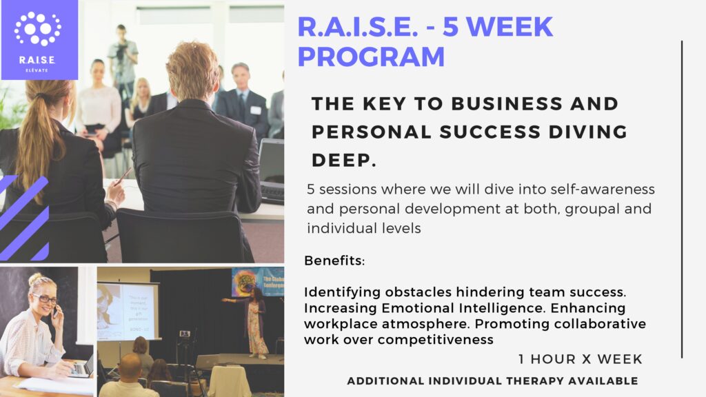 RAISE Presentacion business Ingles-2_page-0013